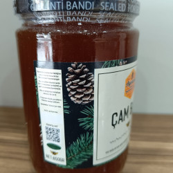 Kazdağları Çam Balı 850 GR Cam Kavanoz